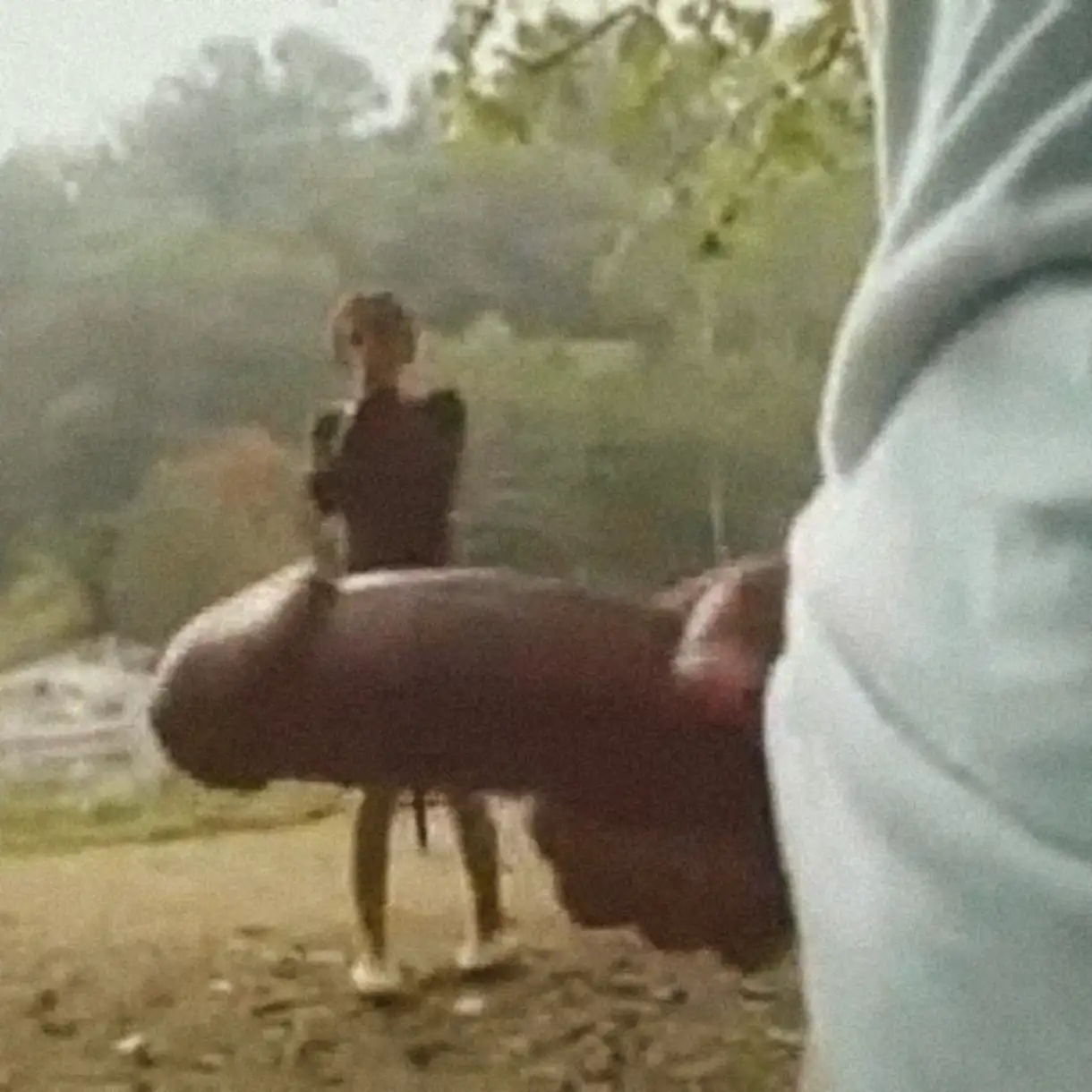 Brunette shocked by the huge cock in the park