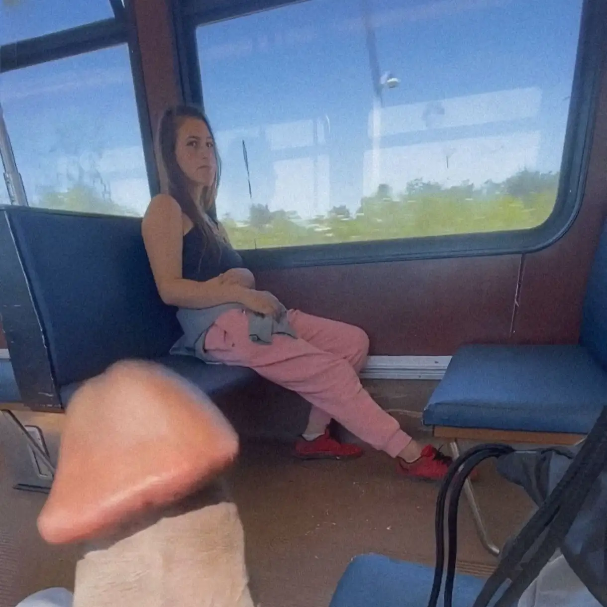 Hottie looking at huge black dick on the train