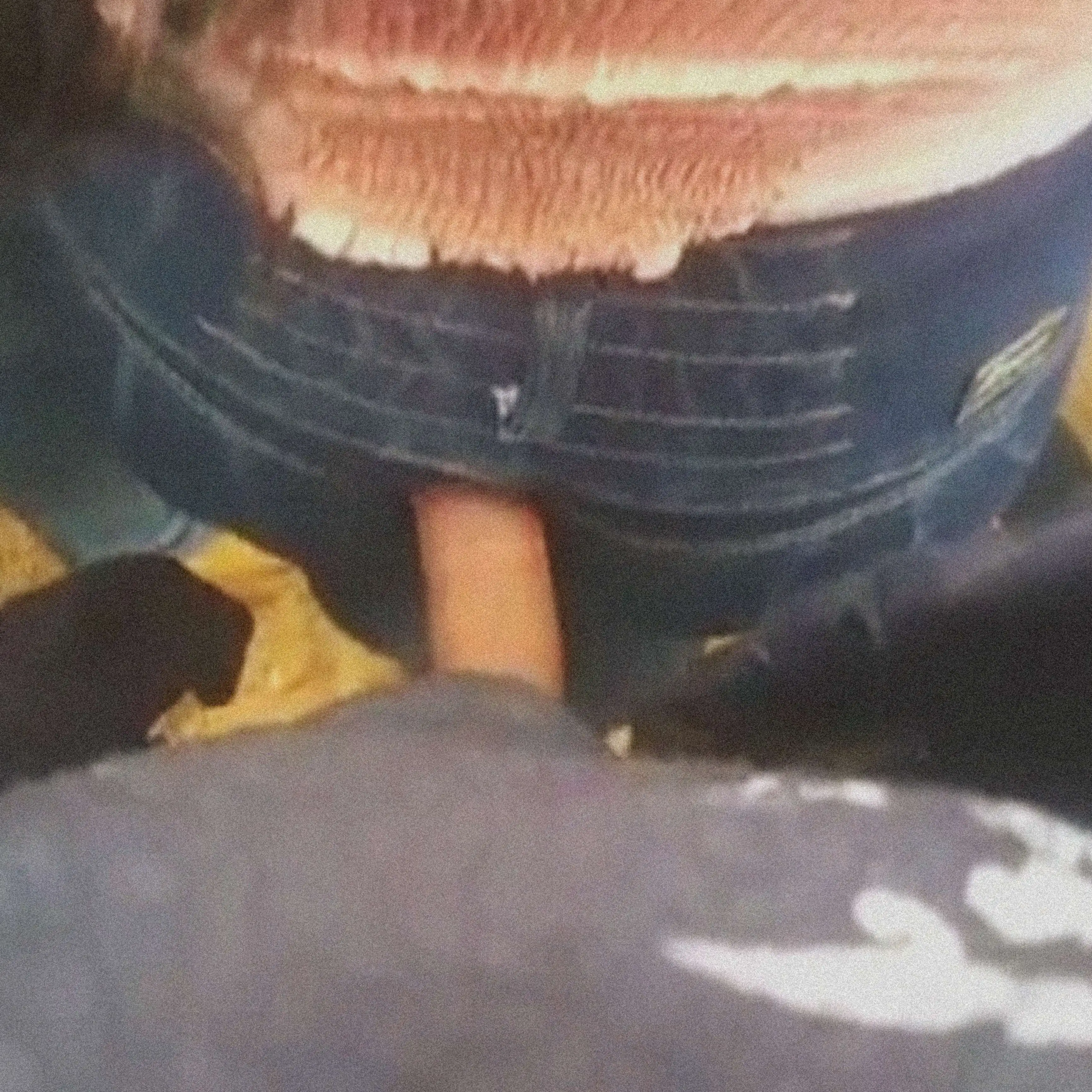 Big dick touch ass Teen Latina