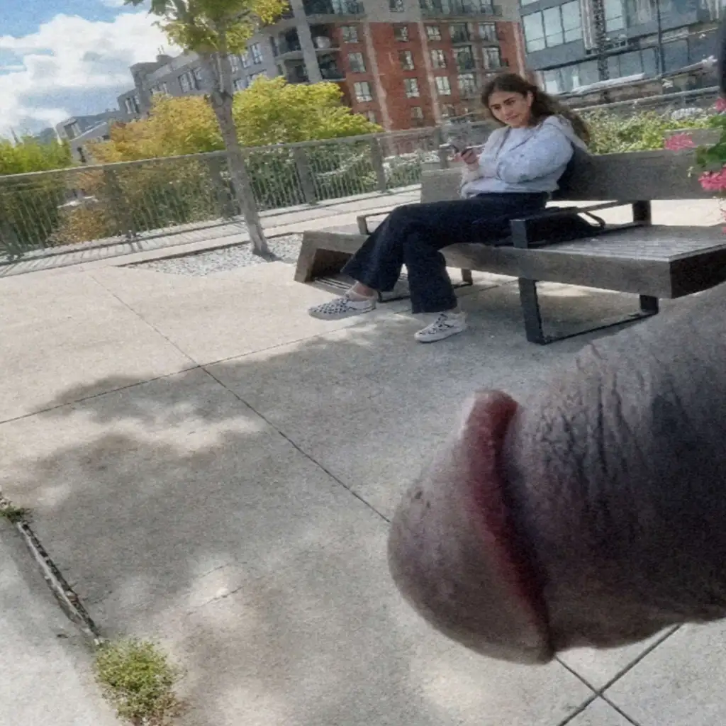 BBC taking notes and sexy brunette teen looked at the dick in the square