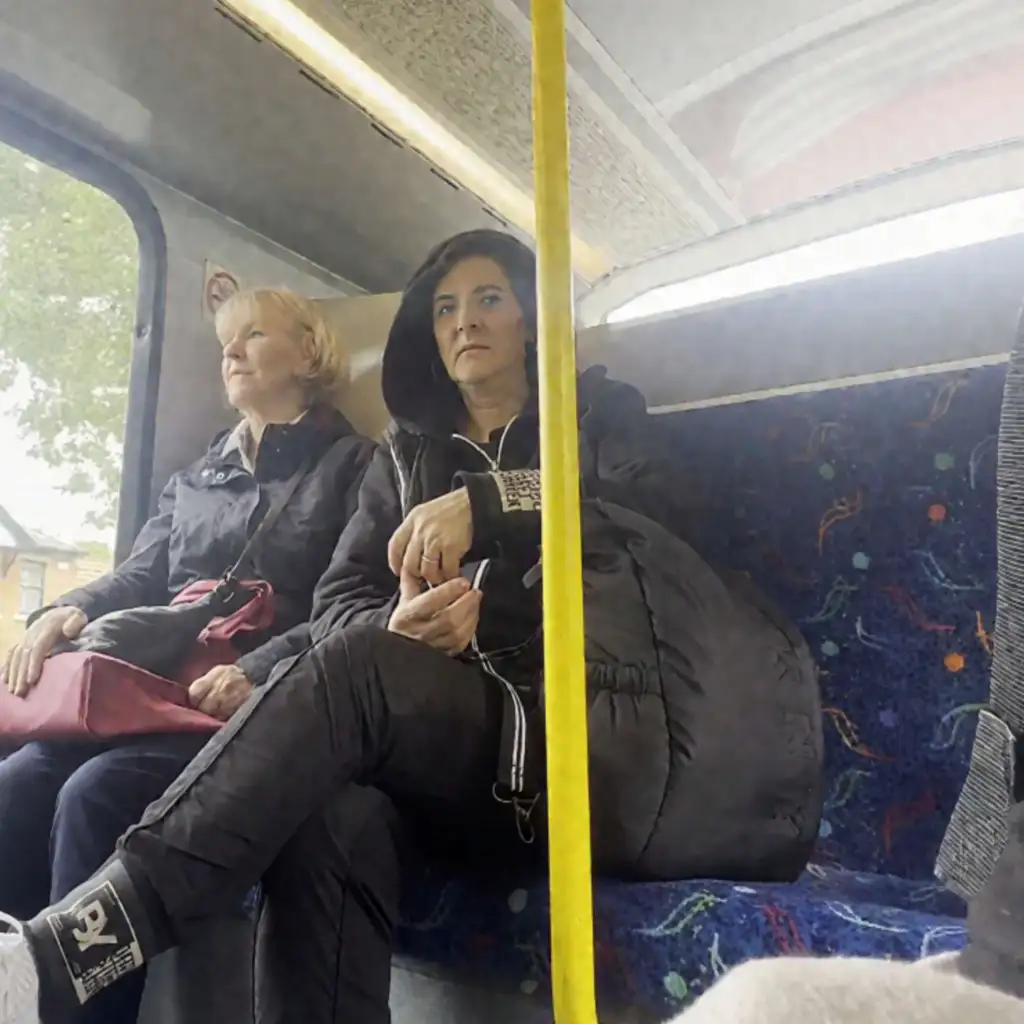 Mature slut looking bulge on the train