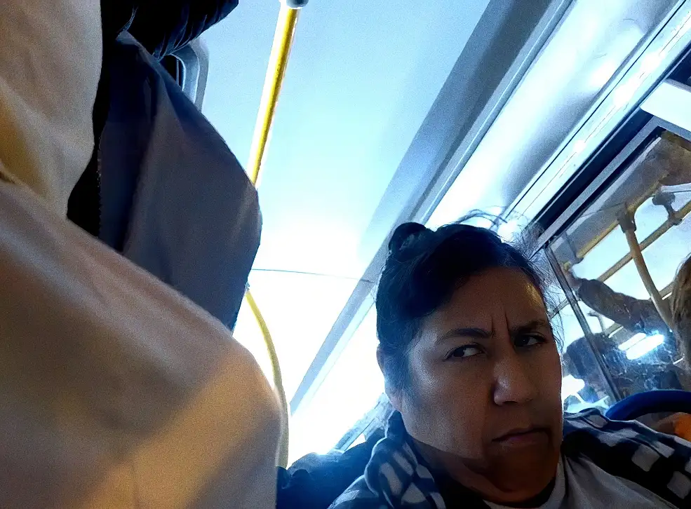 Mature Latina suspiciously looking at dick on the bus