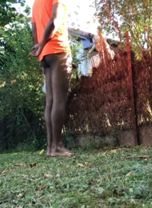 Talking to the neighbor lady, she didn't mind the stick