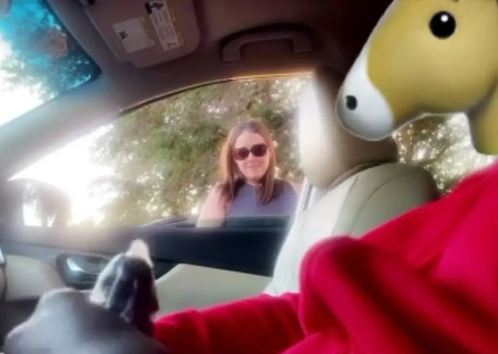 A naughty mature woman staring at a black cock in the car, she like It